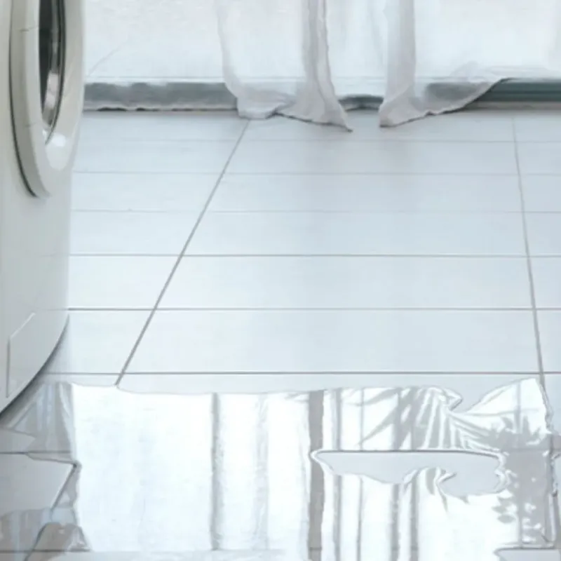 Appliance Leak Cleanup in Newark, IL