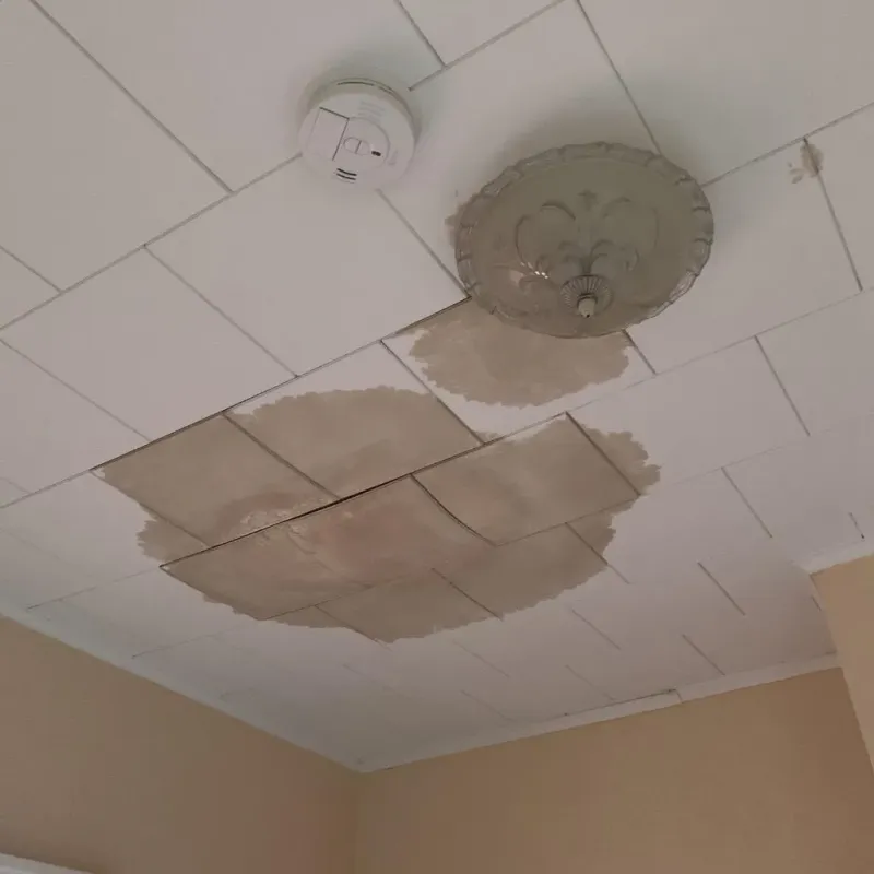 Ceiling Water Damage Repair in Newark, IL