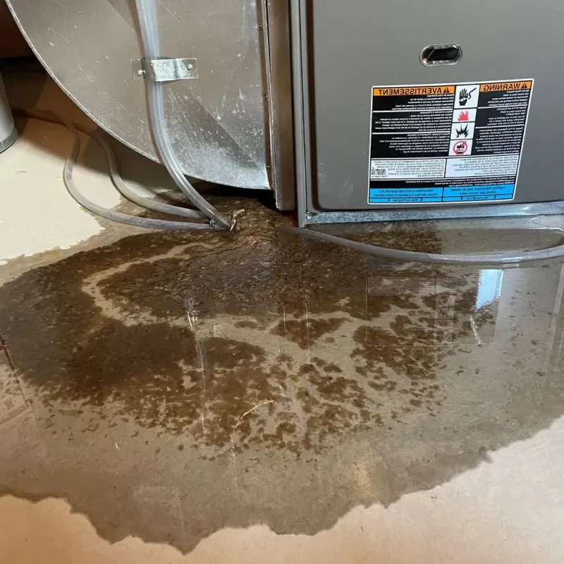 Pipe Burst and Leak Restoration in Newark, IL