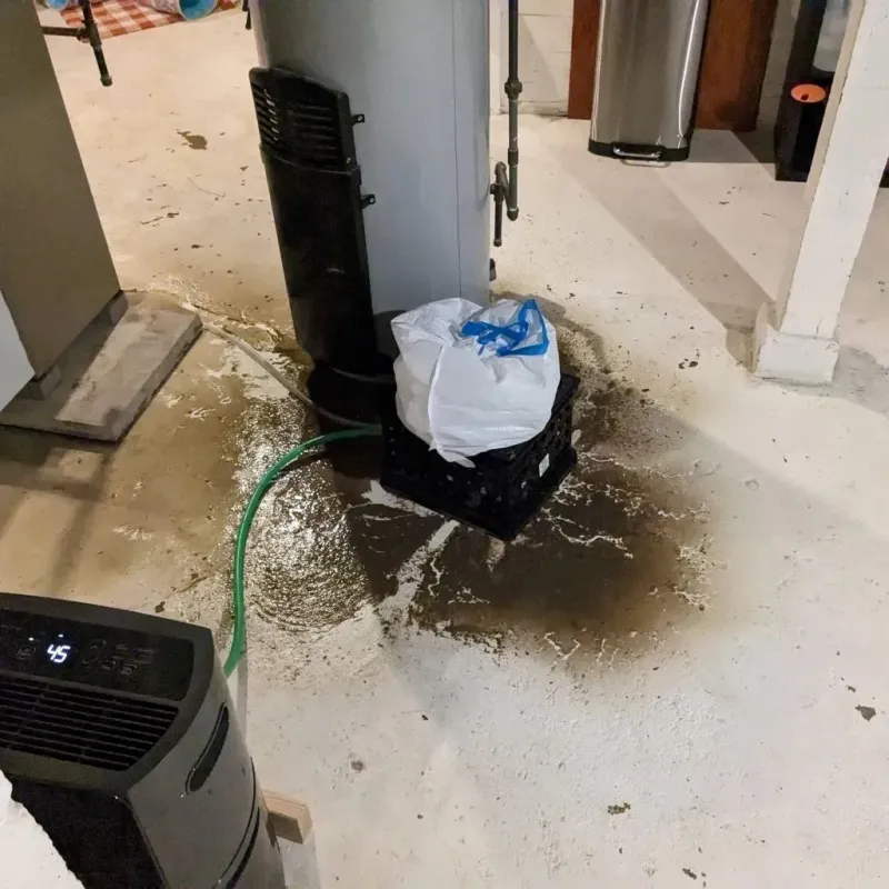 Sewage Backup Cleanup Service in Newark, IL